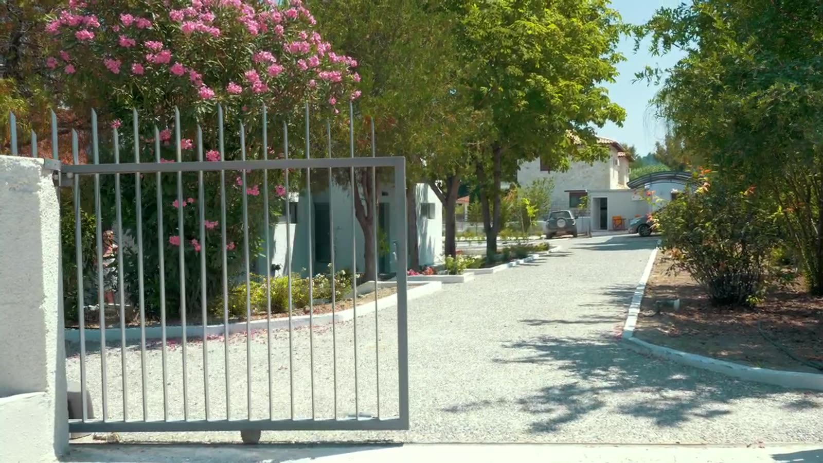 A compound gate opening onto a tree-lined drive